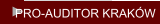 PRO-AUDITOR KRAKÓW